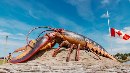 Shediac Giant Lobster — Le Sud-Est du Nouveau-Brunswick — Expérience Acadie — Travel — Jeff On The Road