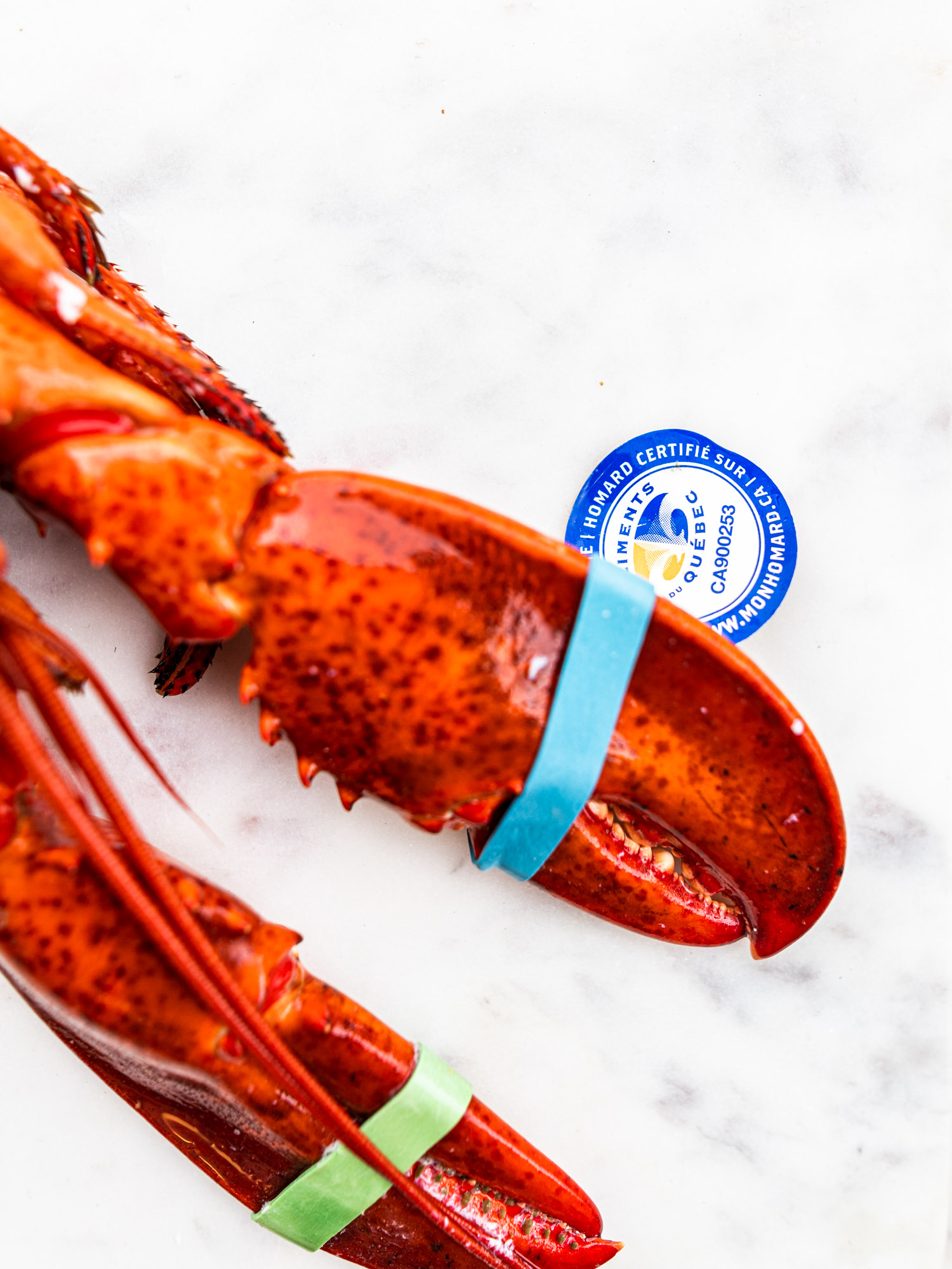 Étiquette du Homard du Québec pour la traçabilité du homard gaspésien