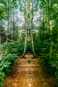 Réflexions colorées  par Hal Ingberg - Jardins de Métis - Festival International de Jardins - Tourisme Bas-Saint-Laurent - Jeff On The Road - All photos are under Copyright  © 2019 Jeff Frenette Photography / dezjeff. To use the photos, please contact me at dezjeff@me.com - http://www.festivalinternationaldejardins.com/Réflexions-colorées/