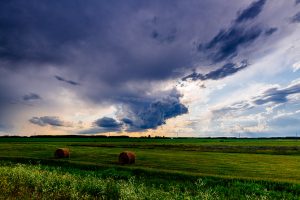 Countryside — Winnipeg — Manitoba — Jeff Frenette Photography