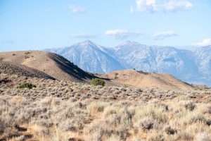 Nevada - Road Trip
