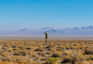 Nevada - Road Trip