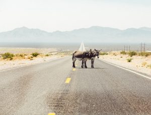 Nevada - Road Trip