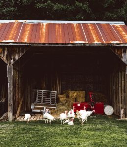 L'Érablière du Sanglier - Lachute - Quoi faire dans les Basses Laurentides - Tourisme Québec