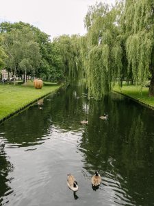 Heemraadspark in Rotterdam West - Rotterdam - Netherlands - Europe