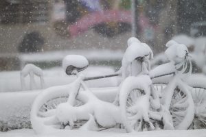 Performance of the lens on a snowy day in Montreal was not very good Nikon Z 800mm Review