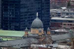 Nikon Z 800mm Review